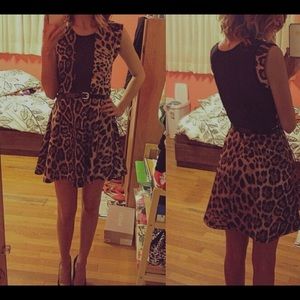 Mesh Cheetah Dress